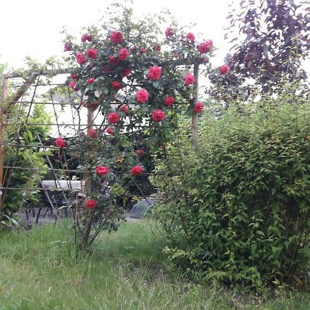Apartament Gartenblick Graal-Mueritz Zewnętrze zdjęcie